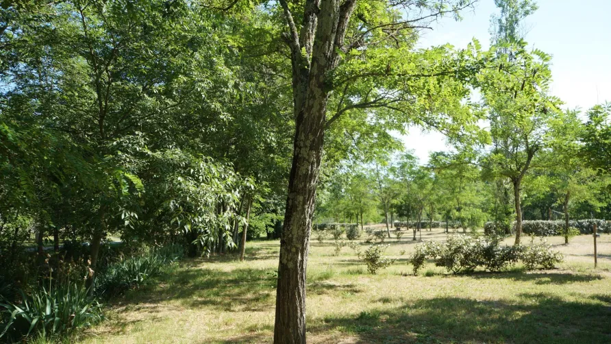 CAMPING DE L'ARCHE