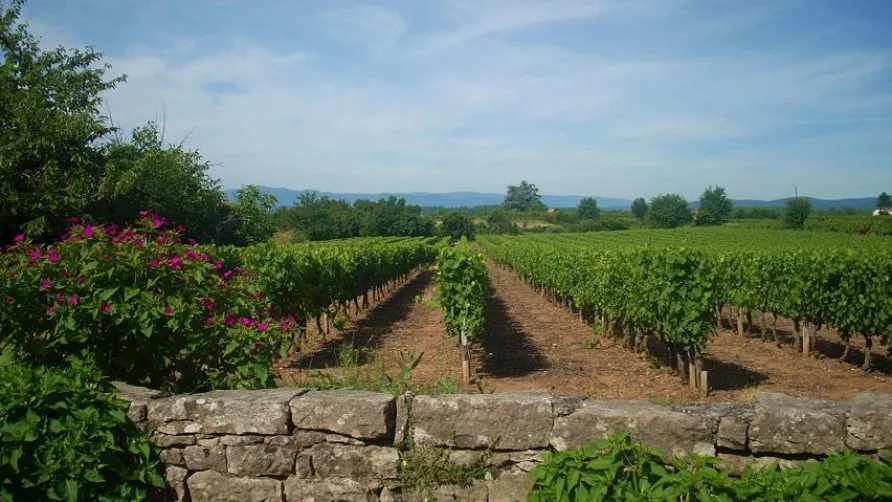 CAMPING LES CHATAIGNIERS