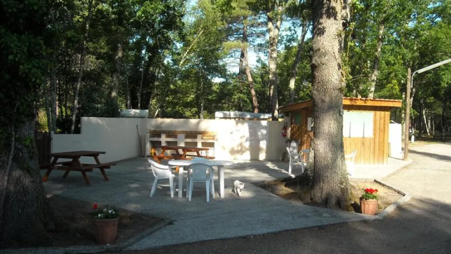 Camping Les Fougères Lacanau