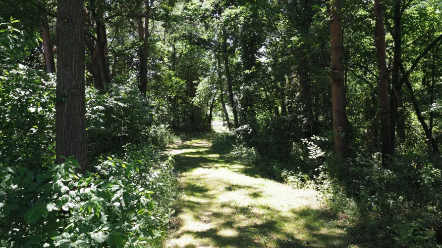 Camping-Interessengemeinschaft Hambühren e. V.