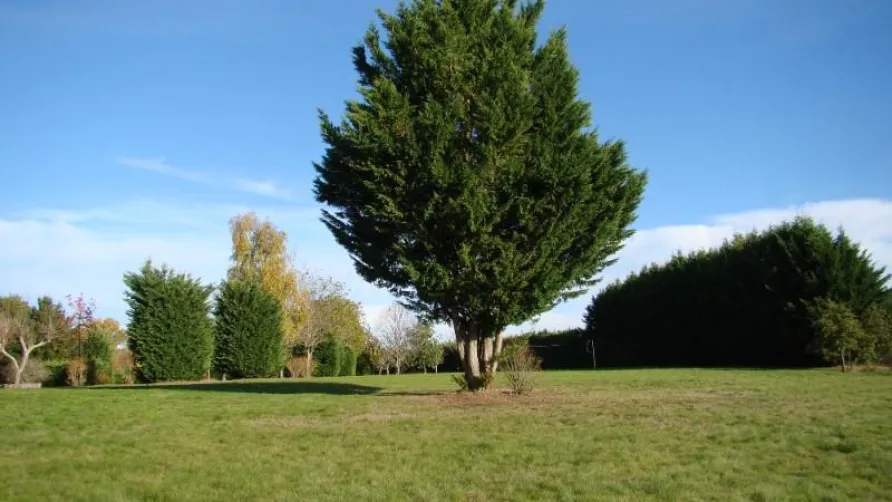 Camping Ecoresponsable Le Rêve