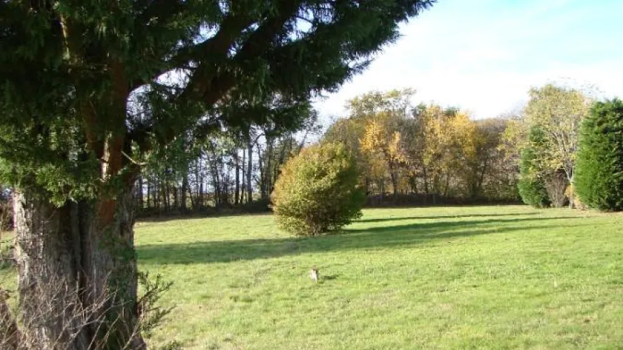 Camping Ecoresponsable Le Rêve