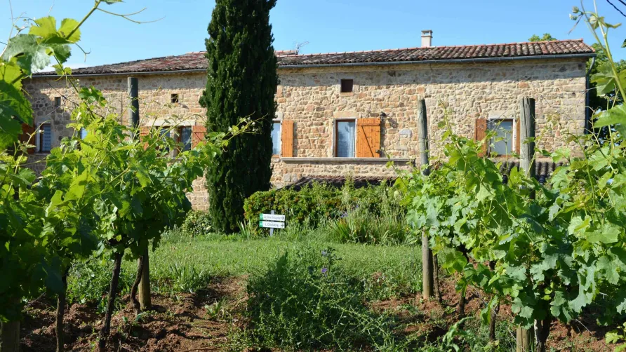 DOMAINE D'AUGNAC