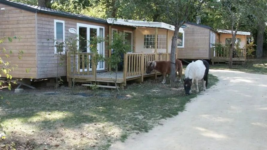 Capfun - Camping Lodge