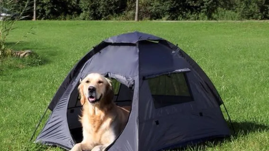 Camping Laguna Village