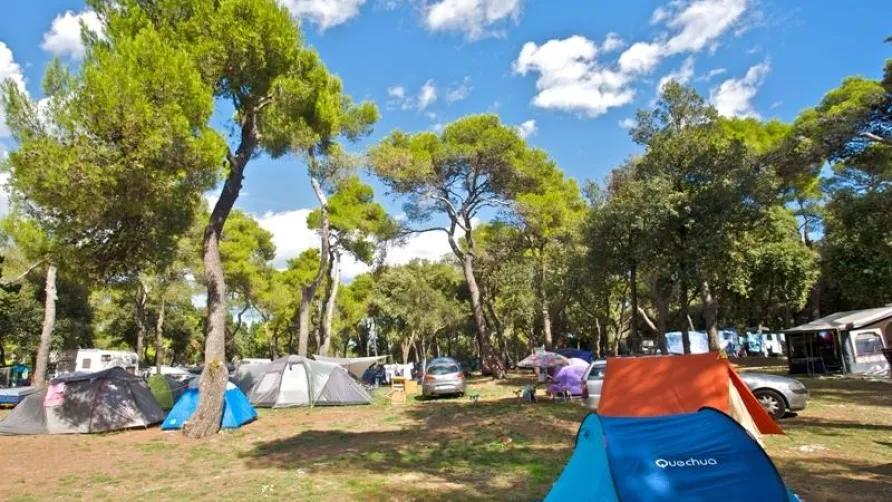 Arena Stoja