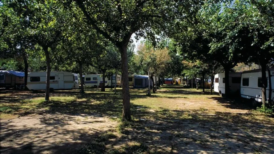 International Camping Torre di Cerrano