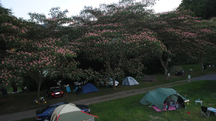 Camping D'ARROUACH Lourdes