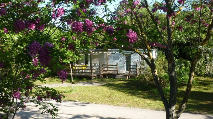 Camping Durance - Luberon