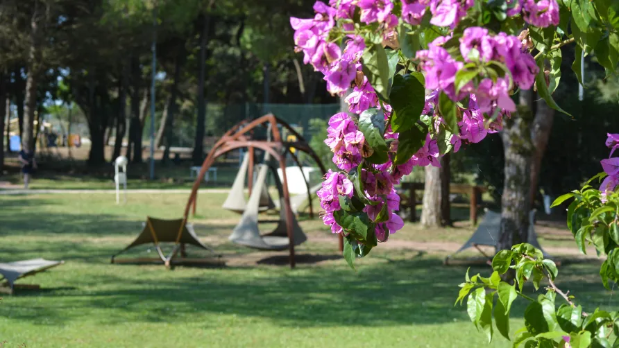 Il Tridente Camping Village