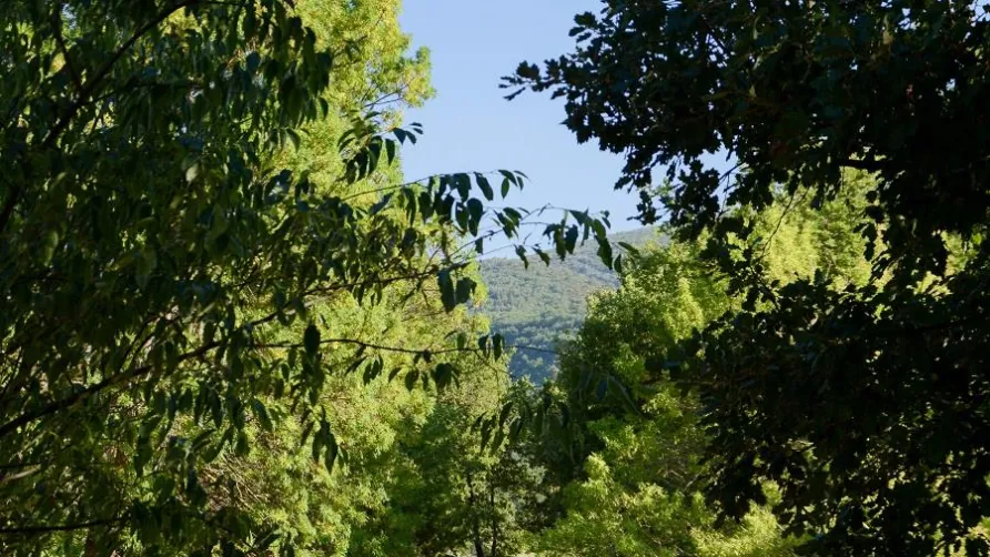 Camping Les Restanques