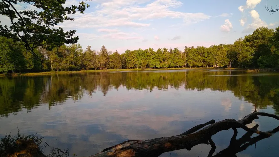 Camping la Bissera