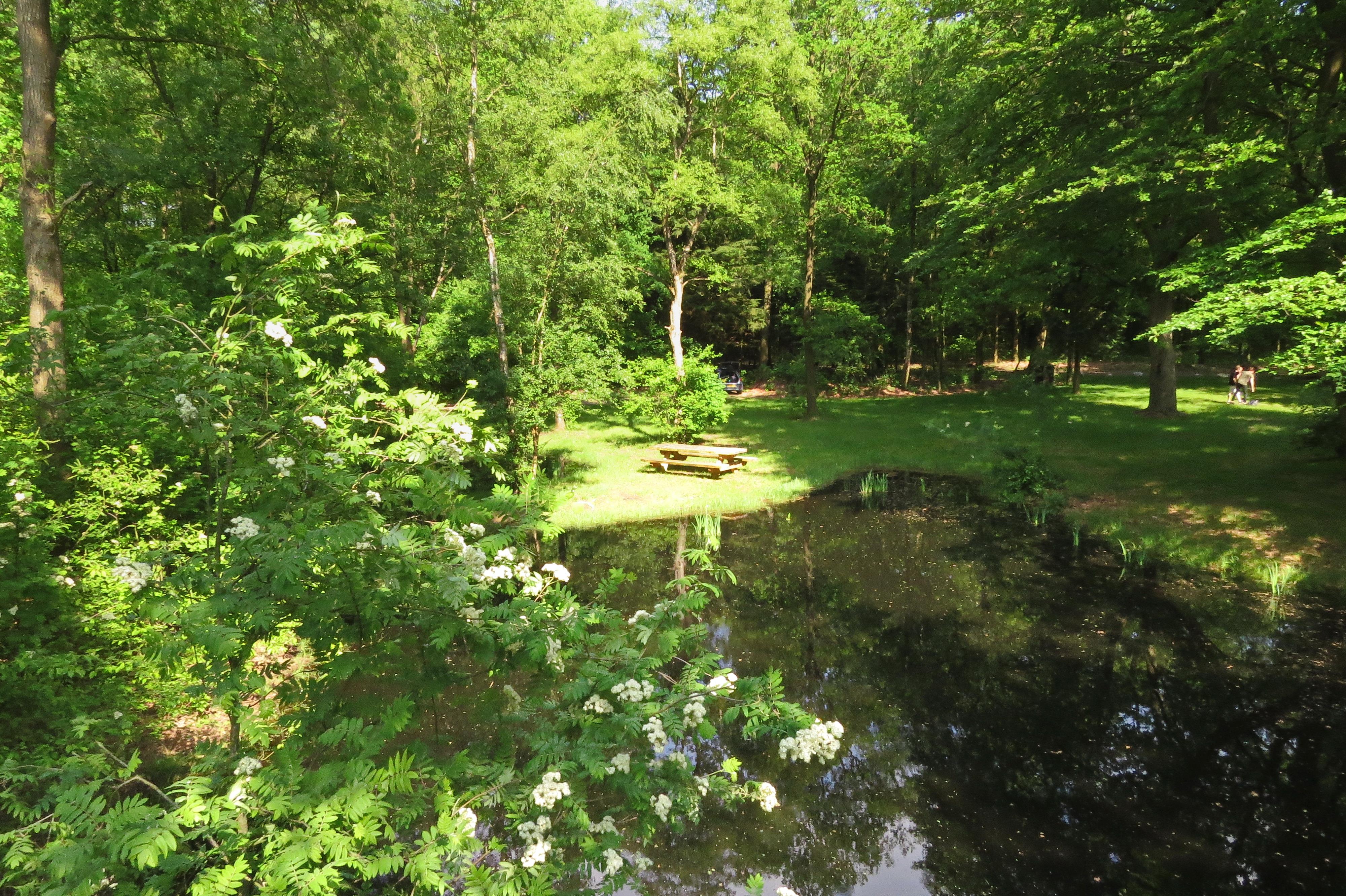 Natuurkampeerterrein Mariahoeve