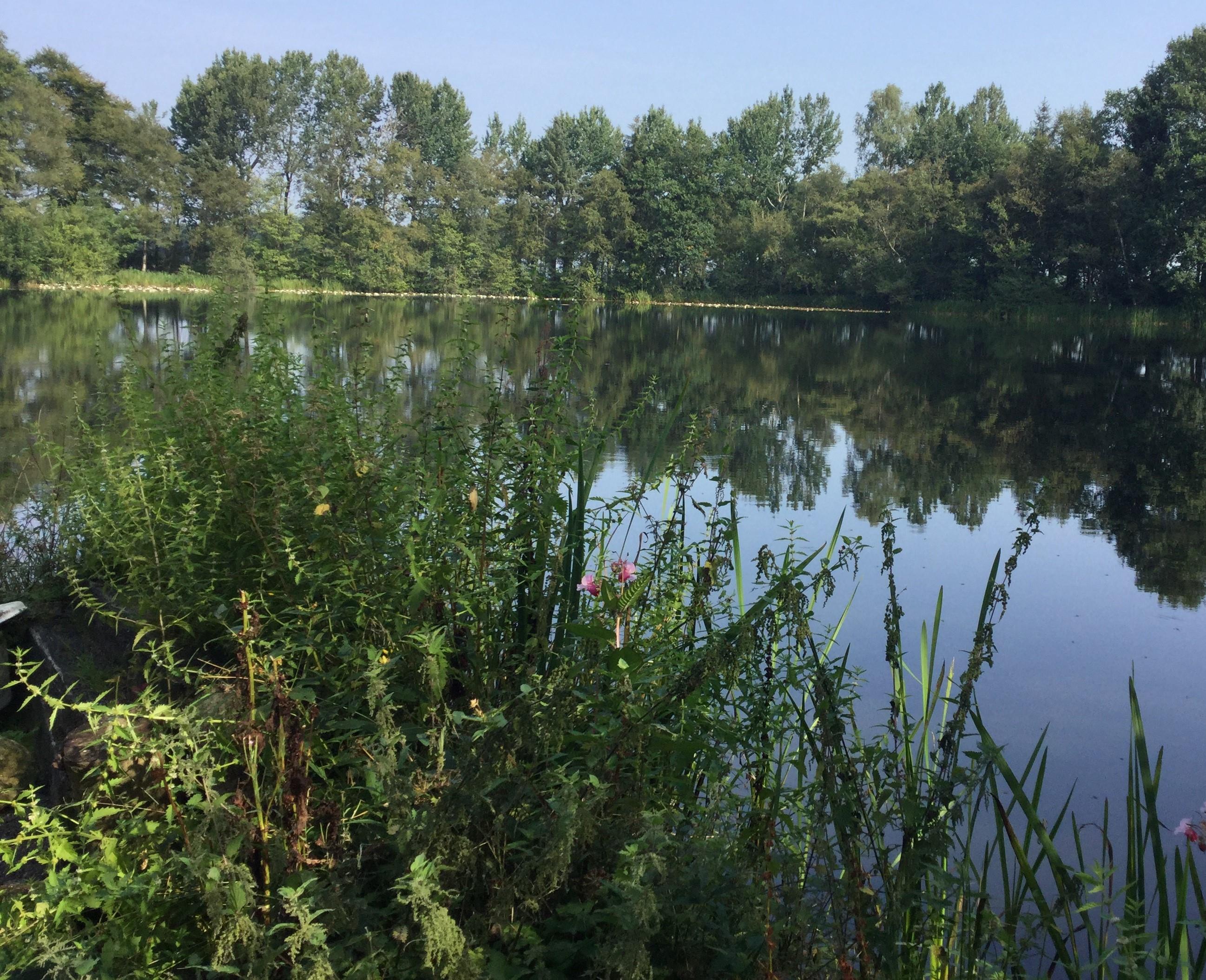 Natuurkampeerterrein Mariahoeve