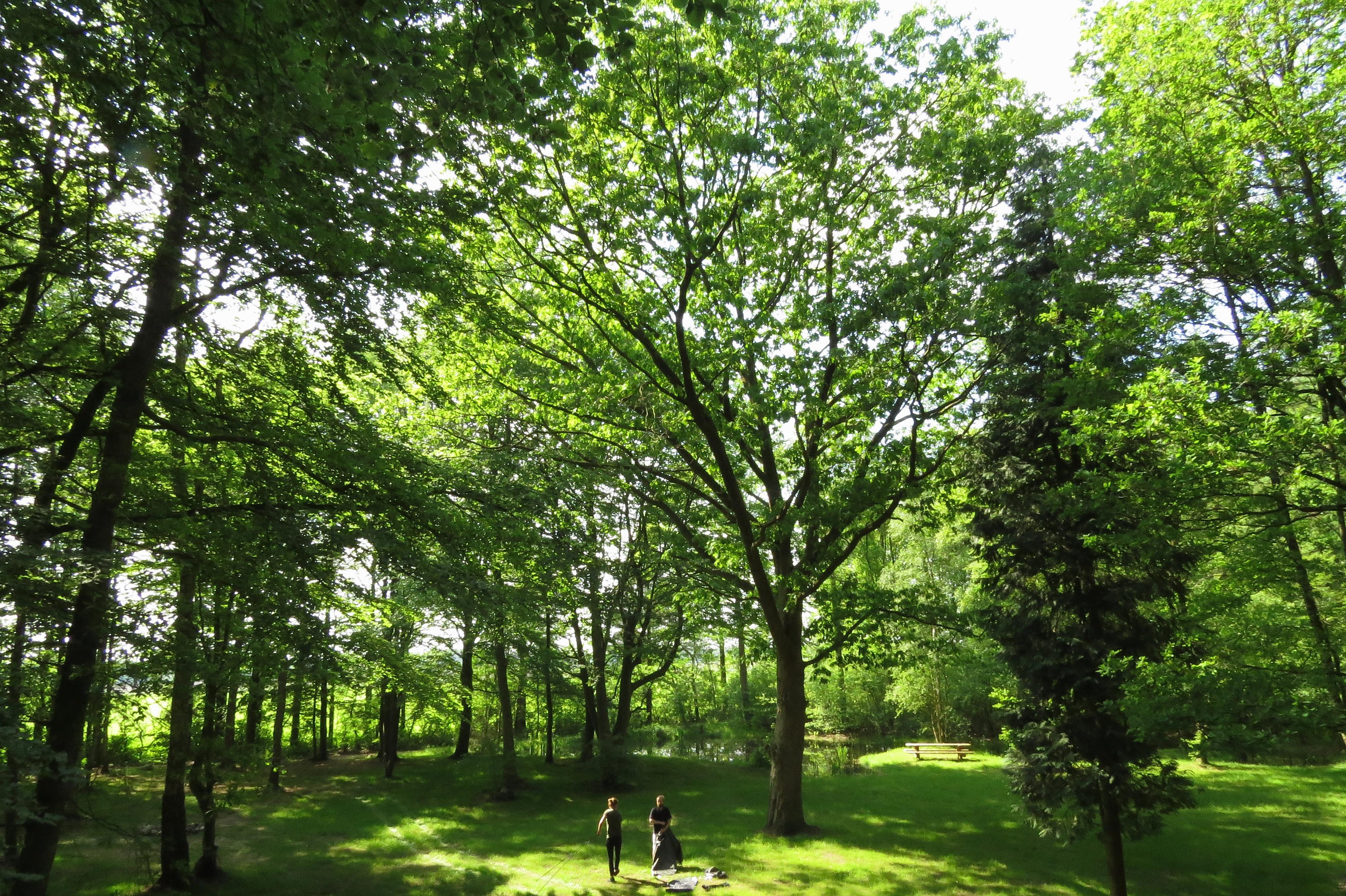Natuurkampeerterrein Mariahoeve
