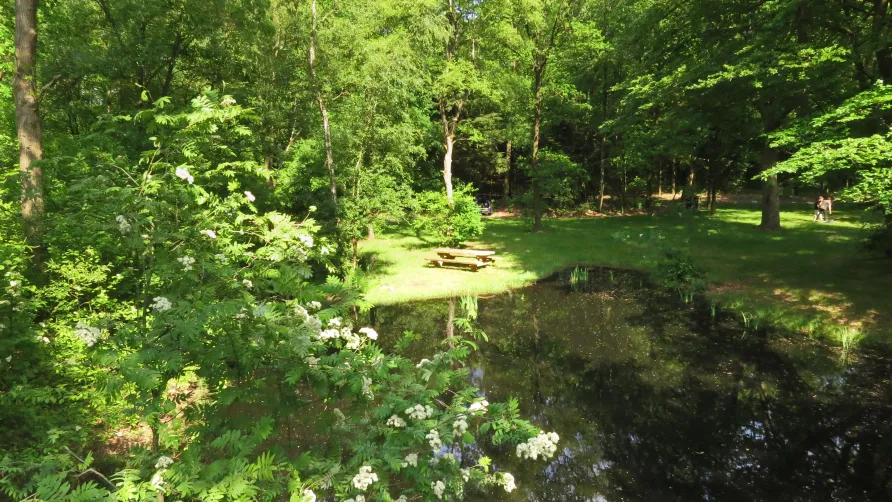 Natuurkampeerterrein Mariahoeve