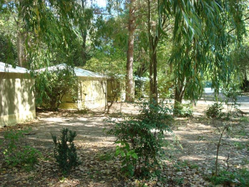 Camping du Pont d'Avignon