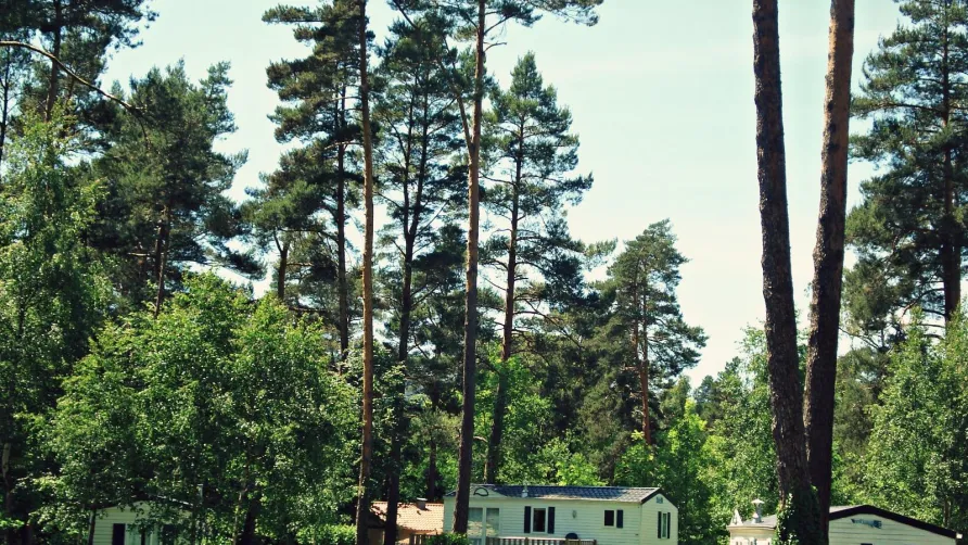 Camping du lac d'Aydat