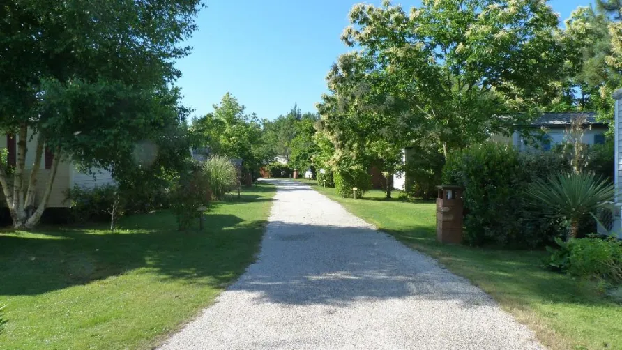 Domaine la Résinière
