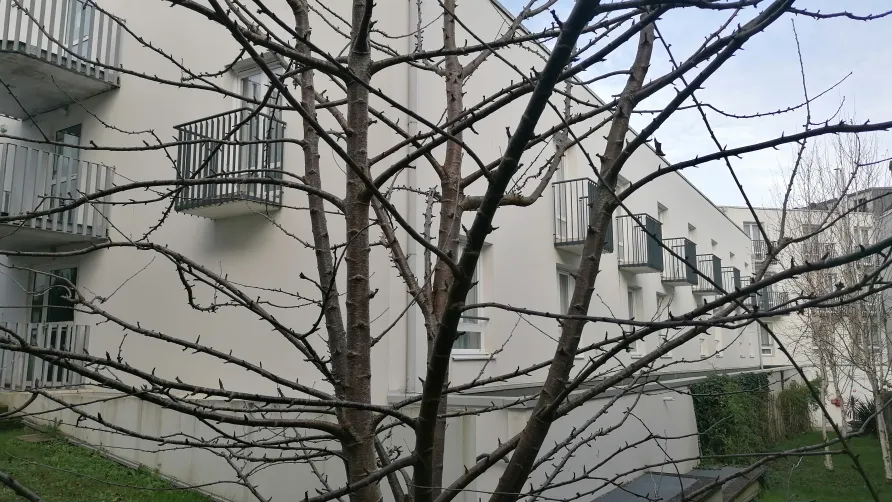 Appart'Hotel Quimper - Terres de France