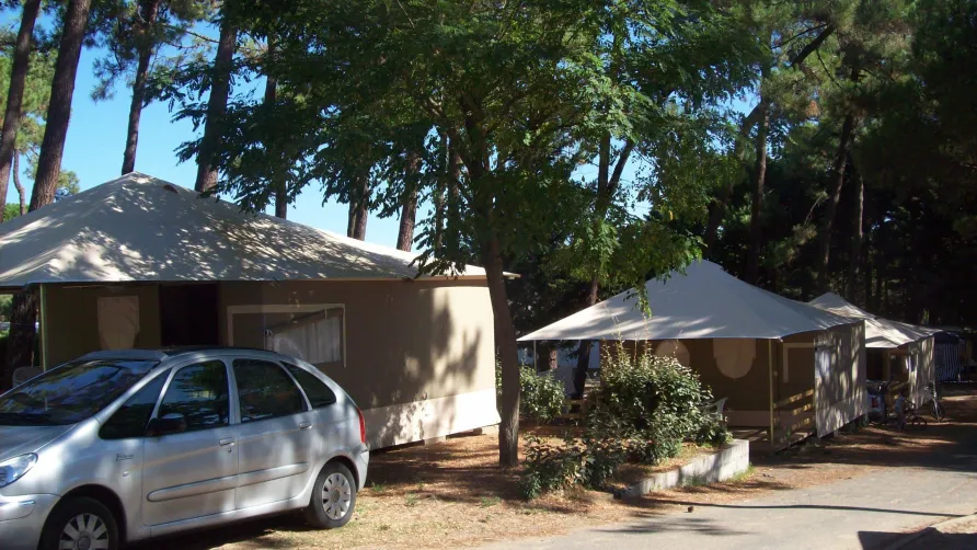 Camping Paradis Les Pins d'Oléron
