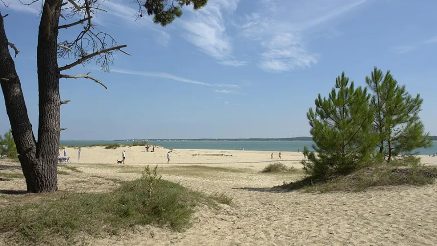 Camping Paradis Les Pins d'Oléron