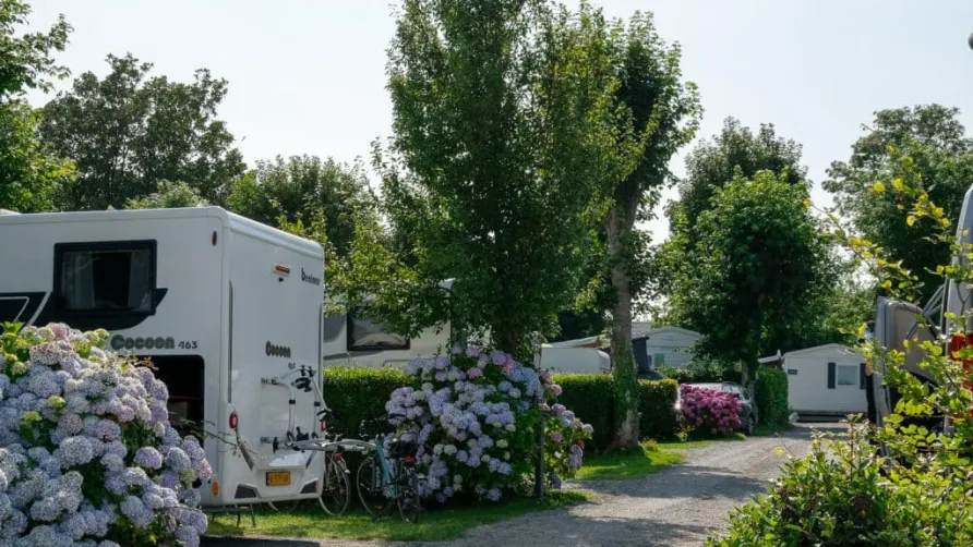 Camping Abijune