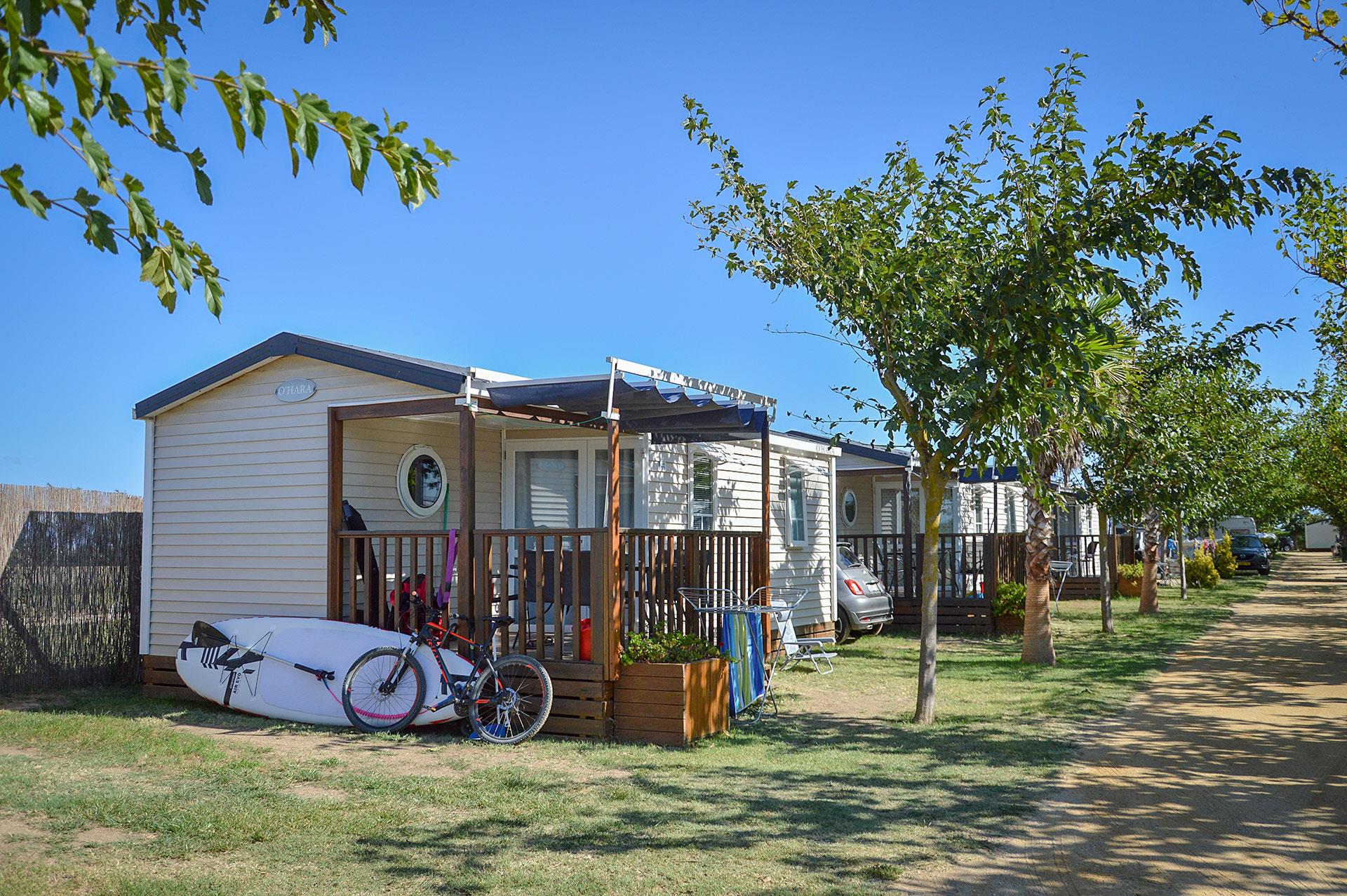 CAMPING LA GAVIOTA
