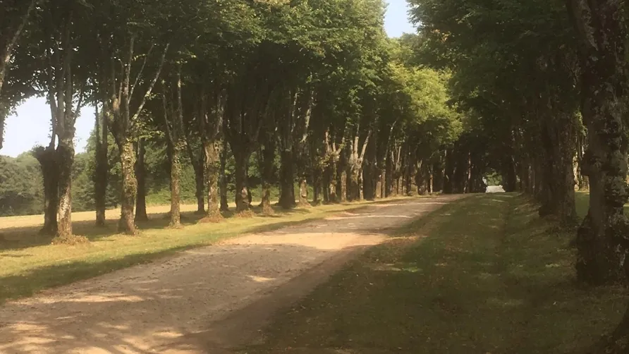 Camping L'Orangerie de Beauregard