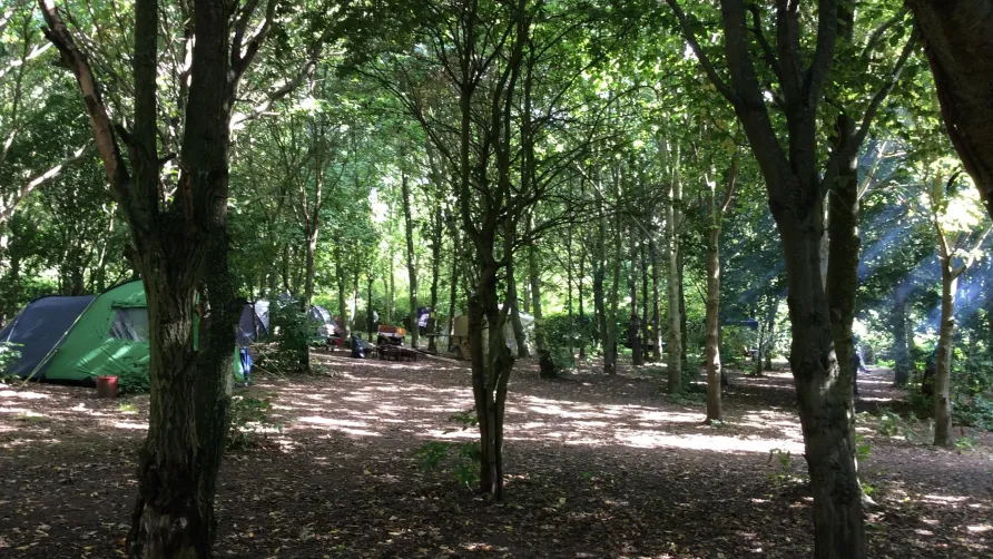 Camping L'Orangerie de Beauregard