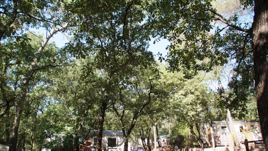 Camping Le Parc