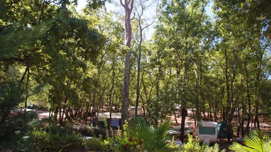 Camping Le Parc