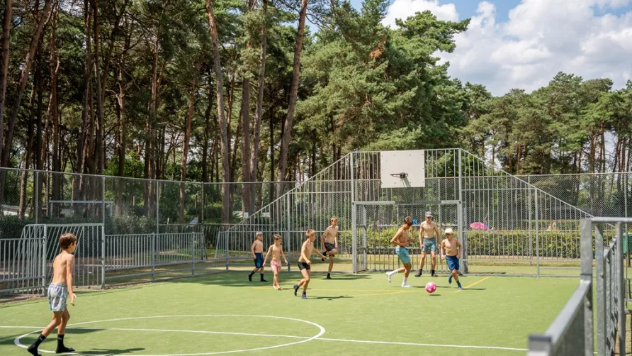Camping Goolderheide