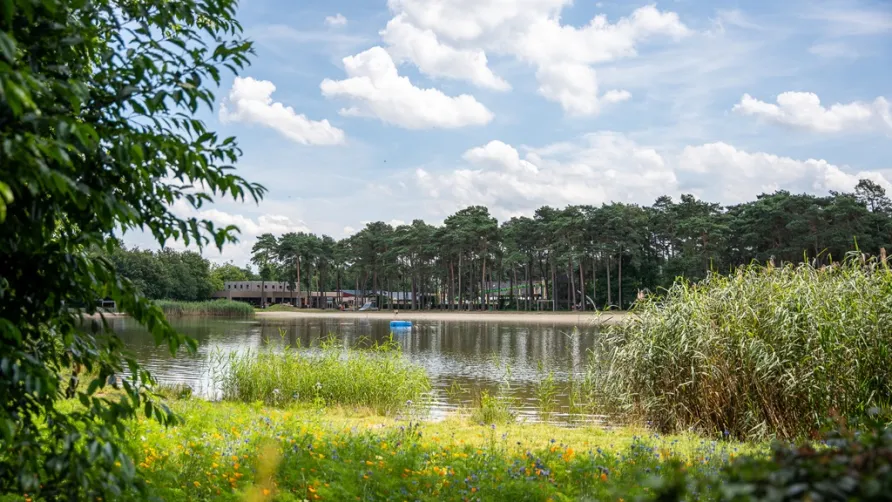 Camping Goolderheide