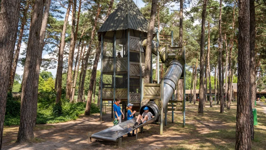 Camping Goolderheide