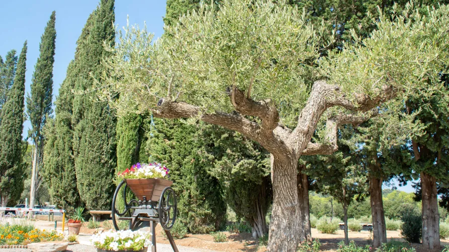 Domaine de la Cigalière
