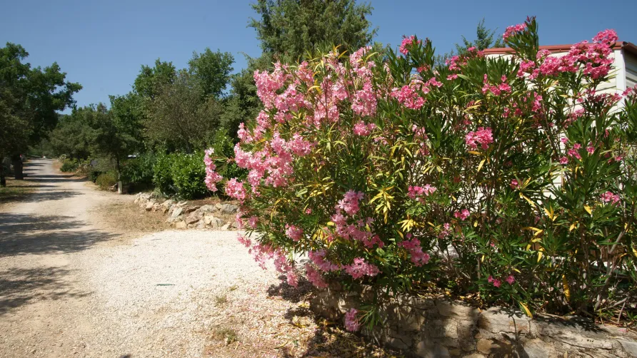 Domaine de la Cigalière