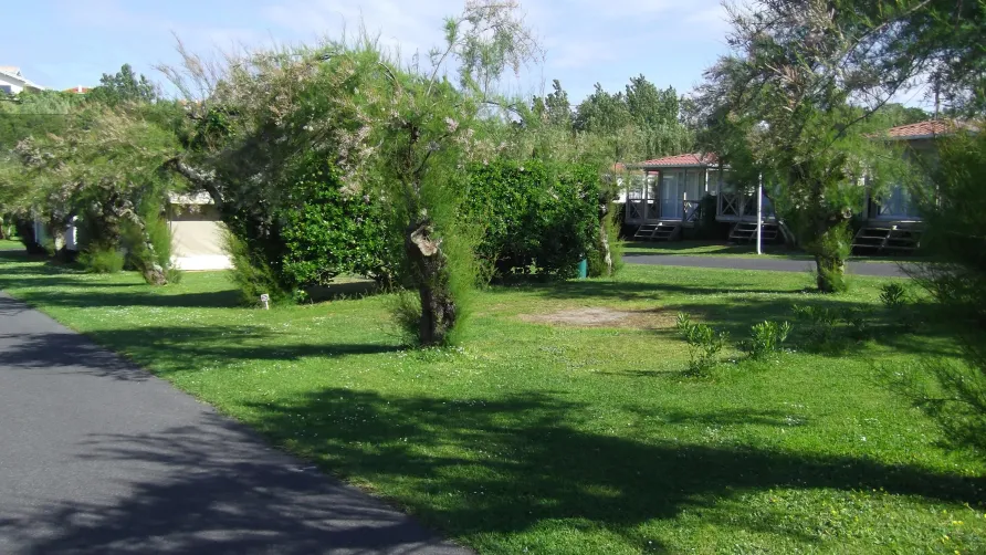 Camping Tamaris Plage