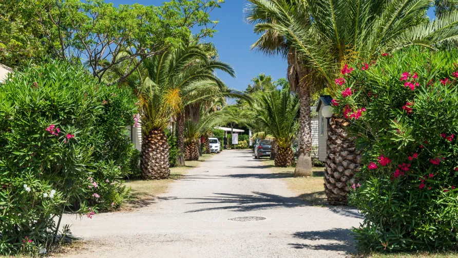 Camping l’Oasis & California