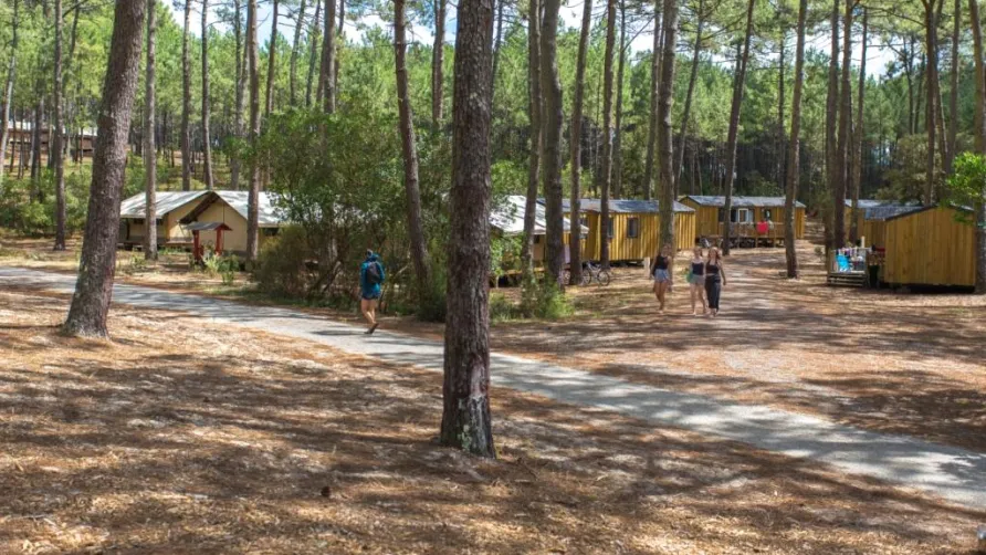 Wellness Sport Camping Carcans