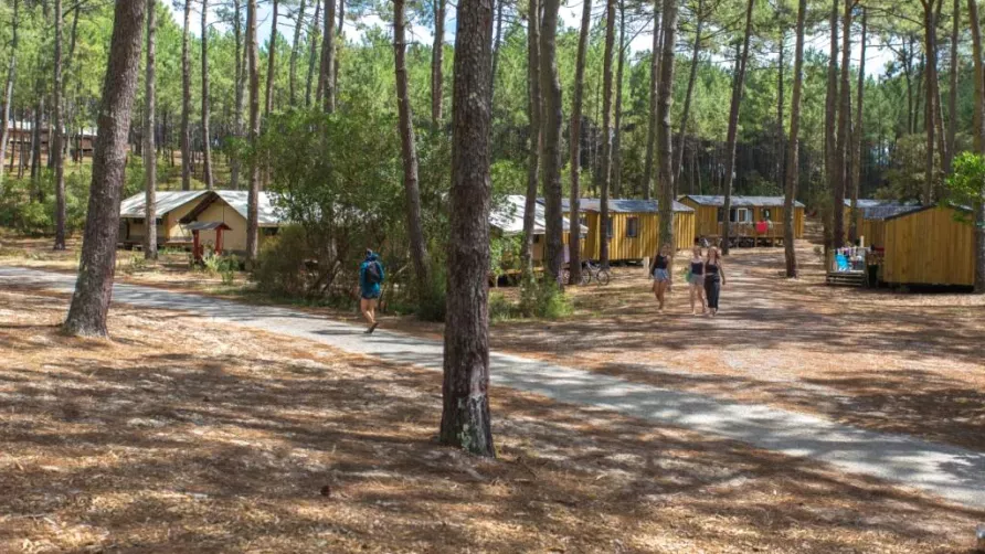Wellness Sport Camping Carcans