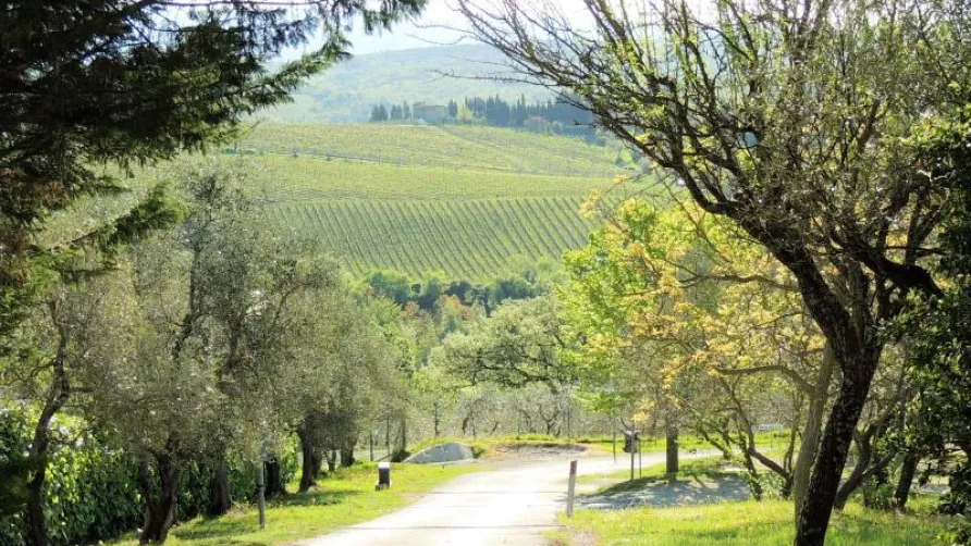 Camping Semifonte