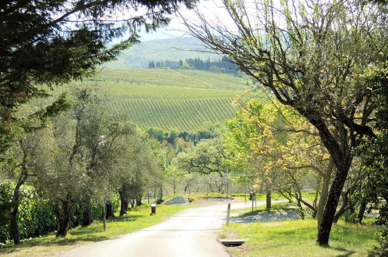 Camping Semifonte