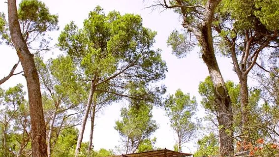 Camping Le MALOLYA