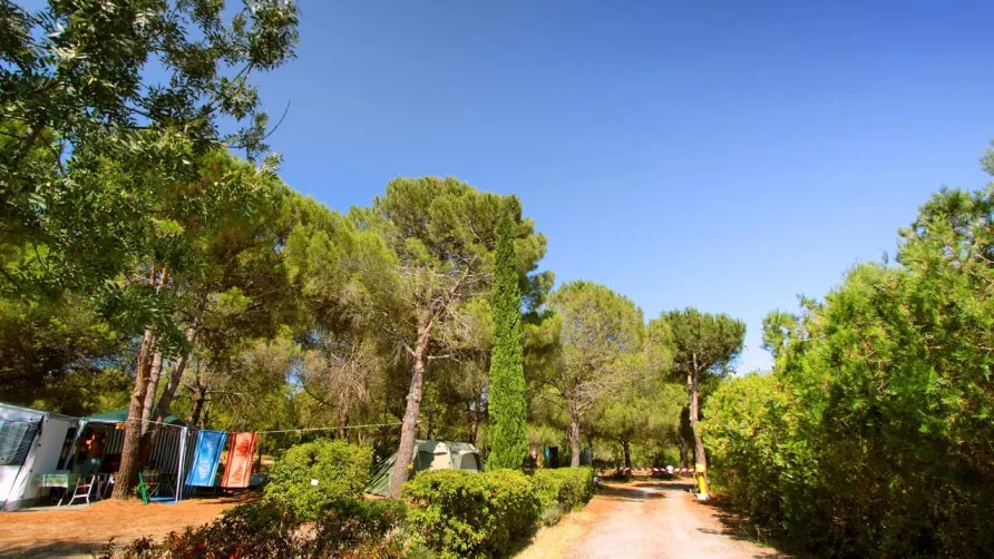 Camping Le MALOLYA