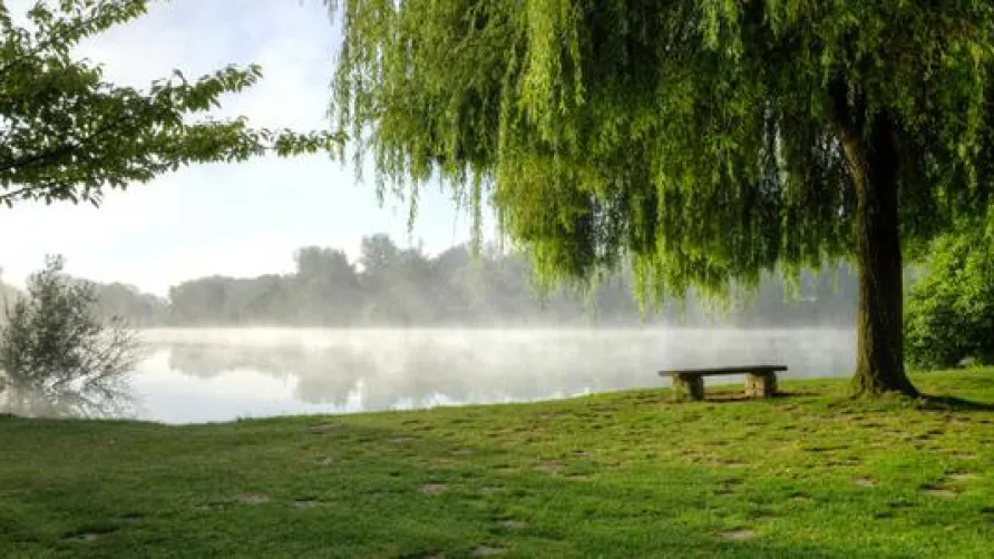 Camping Homair - La Croix du Vieux Pont