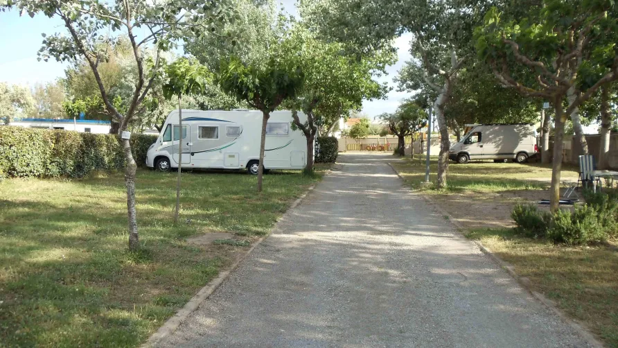 Camping Mas de la Lagune