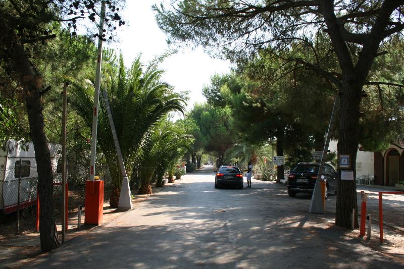 Camping Tellina