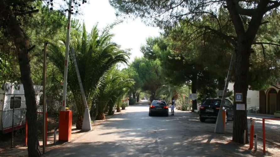 Camping Tellina