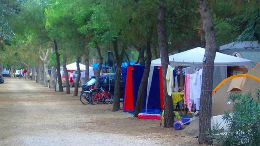 Camping Tellina